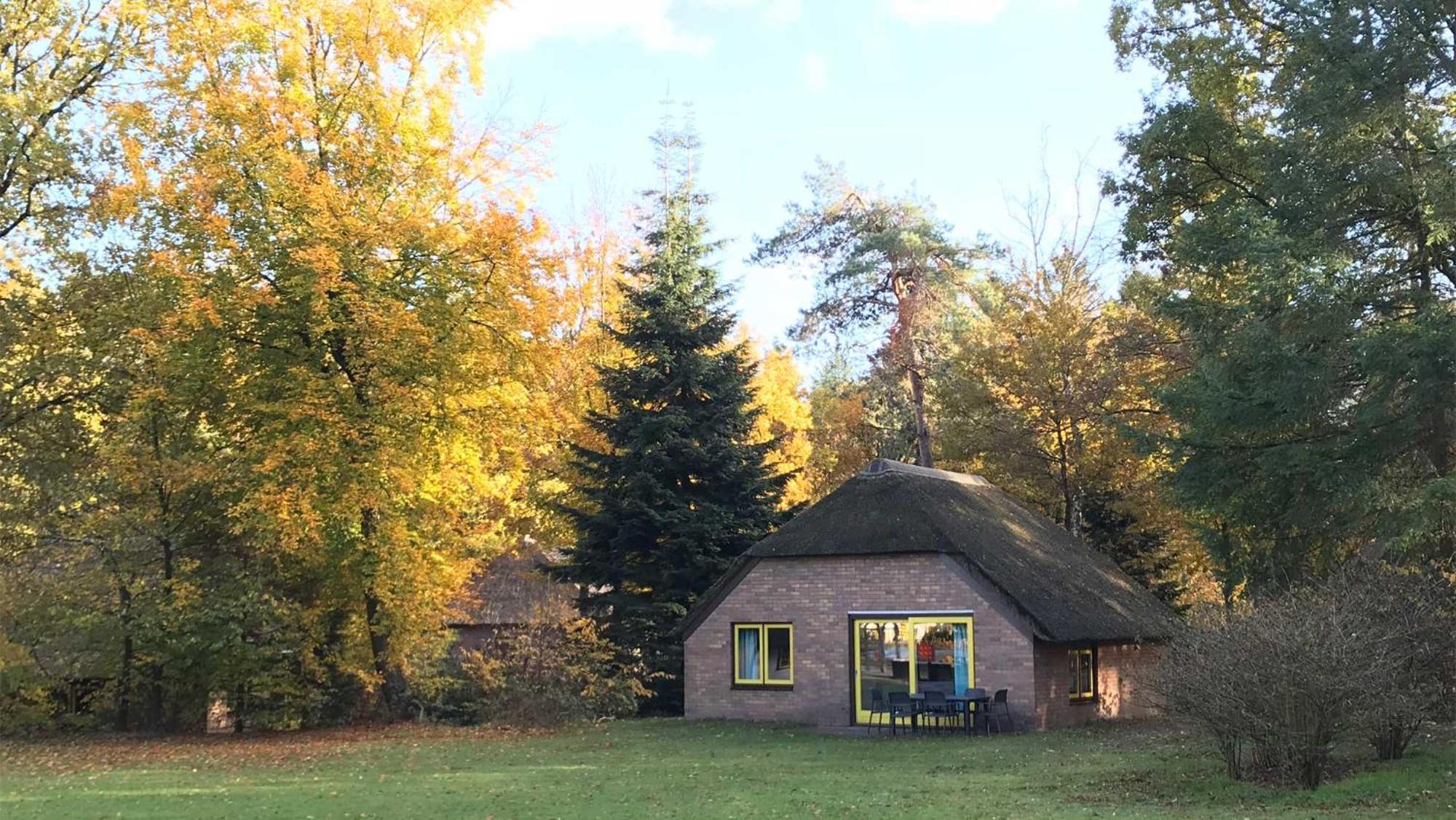 Molecaten Park De Leemkule Hattem Habitación foto