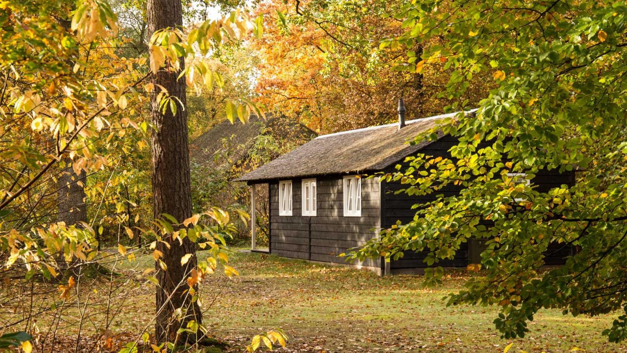 Molecaten Park De Leemkule Hattem Habitación foto